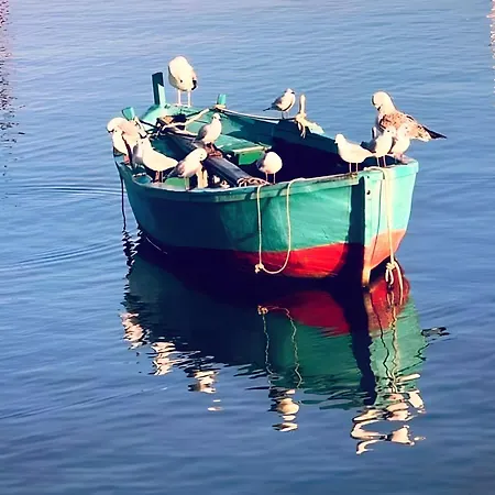 بيت للعطل Xi Il Mare A Due Passi *